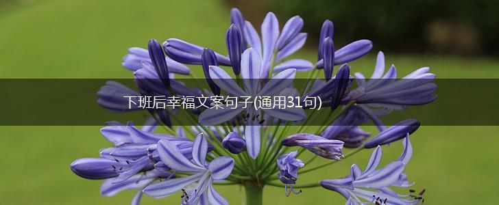 下班后幸福文案句子(通用31句),第1张