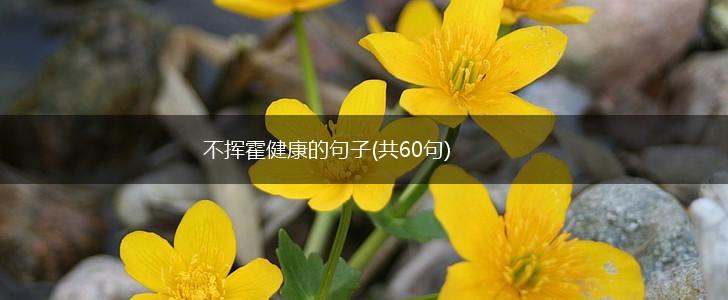 不挥霍健康的句子(共60句),第1张