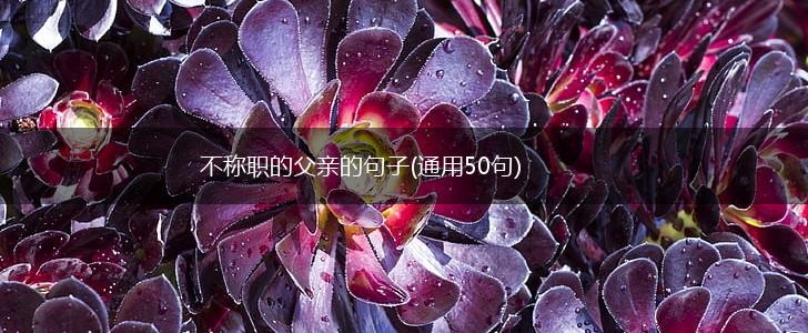不称职的父亲的句子(通用50句),第1张