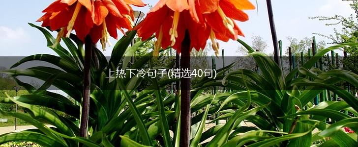 上热下冷句子(精选40句),第1张