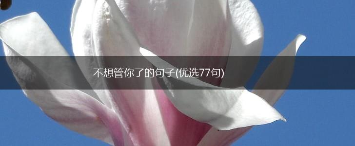 不想管你了的句子(优选77句),第1张