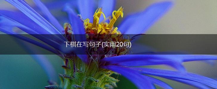 下棋在写句子(实用20句),第1张