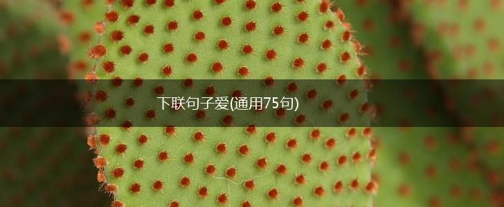下联句子爱(通用75句),第1张