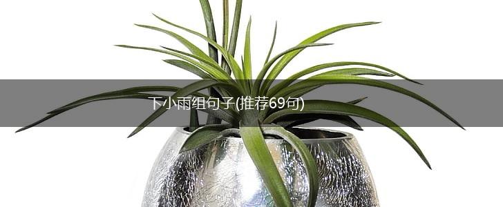 下小雨组句子(推荐69句),第1张