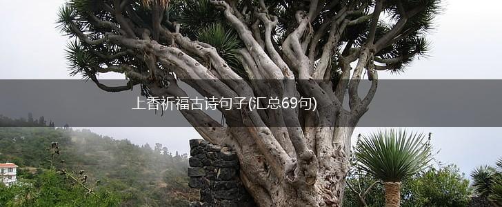 上香祈福古诗句子(汇总69句),第1张