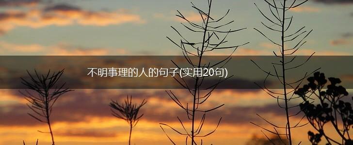 不明事理的人的句子(实用20句),第1张
