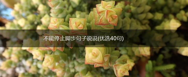 不能停止脚步句子说说(优选40句),第1张