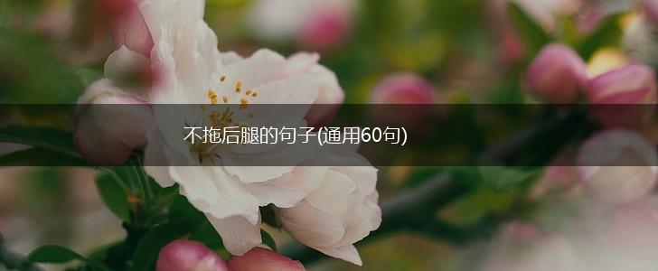 不拖后腿的句子(通用60句),第1张