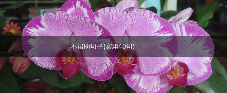 不帮助句子(实用40句),第1张