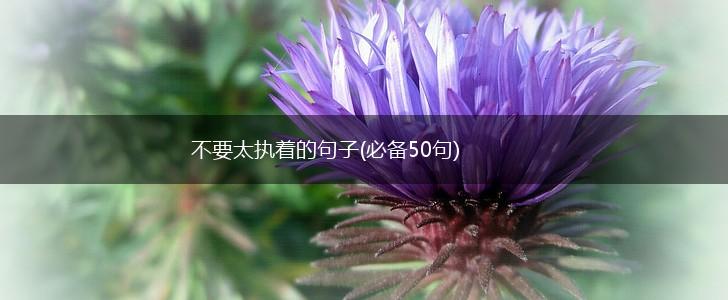 不要太执着的句子(必备50句),第1张