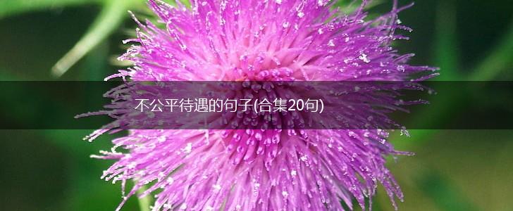 不公平待遇的句子(合集20句),第1张