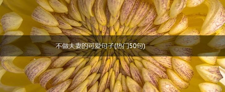 不做夫妻的可爱句子(热门50句),第1张
