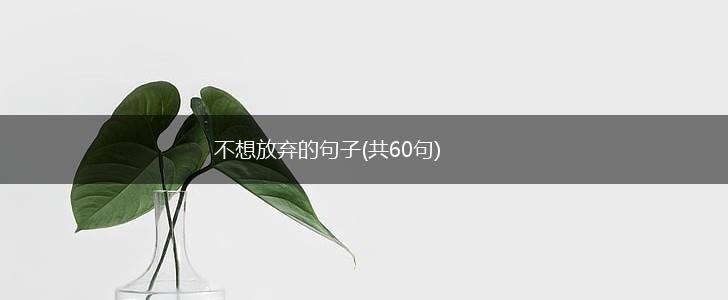 不想放弃的句子(共60句),第1张
