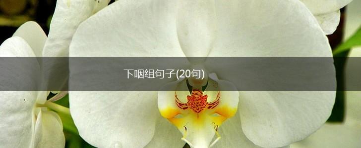 下咽组句子(20句),第1张
