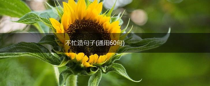 不忙造句子(通用60句),第1张