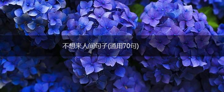 不想来人间句子(通用70句),第1张