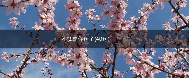 不愧是你句子(40句),第1张