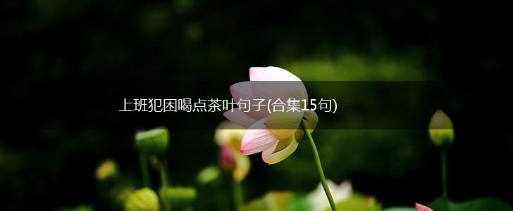 上班犯困喝点茶叶句子(合集15句),第1张