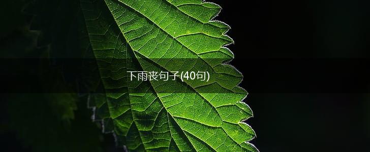 下雨丧句子(40句),第1张