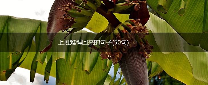 上班难得回来的句子(50句),第1张