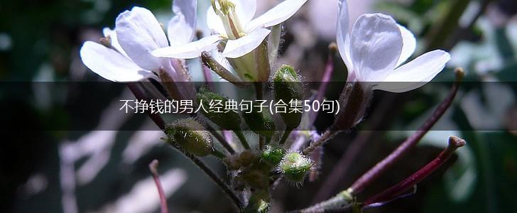 不挣钱的男人经典句子(合集50句),第1张