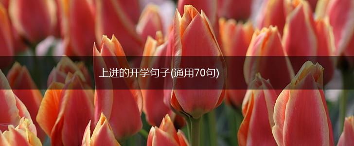 上进的开学句子(通用70句),第1张