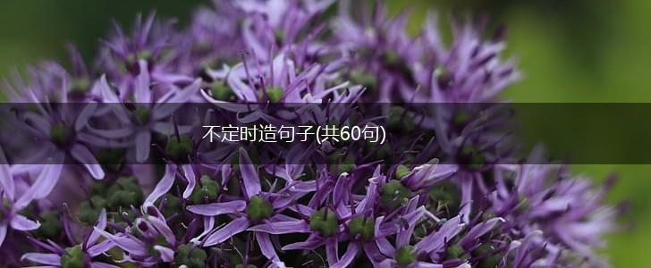 不定时造句子(共60句),第1张