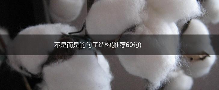 不是而是的句子结构(推荐60句),第1张