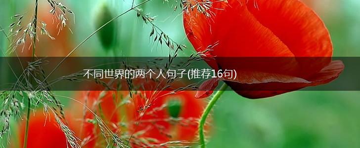 不同世界的两个人句子(推荐16句),第1张