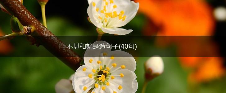不堪和就是造句子(40句),第1张
