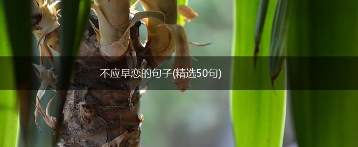 不应早恋的句子(精选50句),第1张