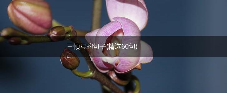 三顿号的句子(精选60句),第1张