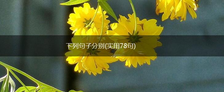 下列句子分别(实用78句),第1张