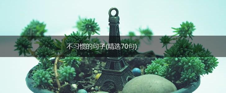 不习惯的句子(精选70句),第1张