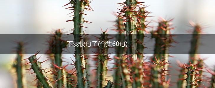 不爽快句子(合集60句),第1张
