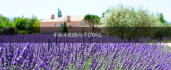 不折不扣造句子(70句),第1张