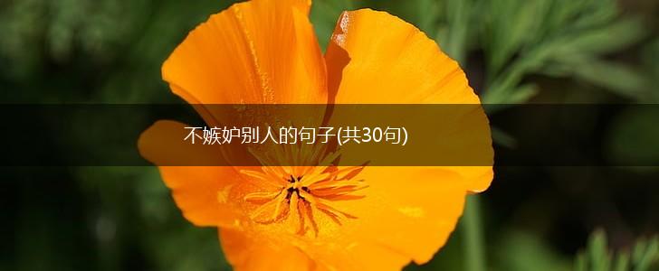 不嫉妒别人的句子(共30句),第1张