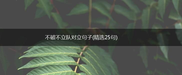 不破不立队对立句子(精选25句),第1张
