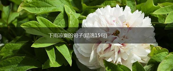 下雨凉爽的句子(精选15句),第1张