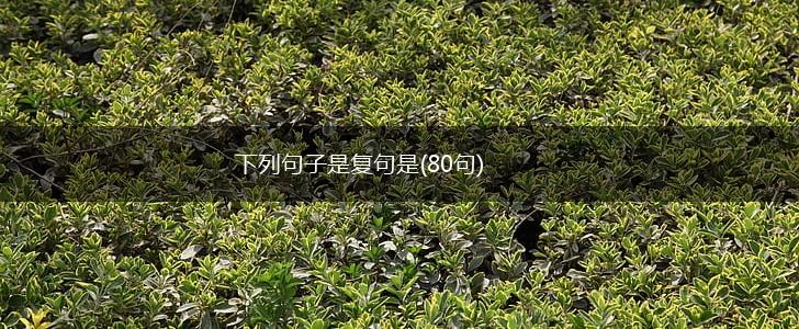 下列句子是复句是(80句),第1张