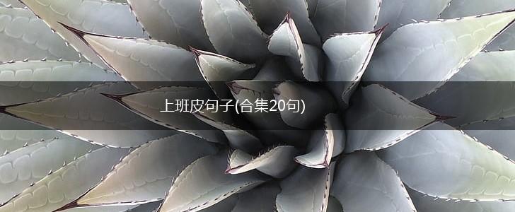 上班皮句子(合集20句),第1张