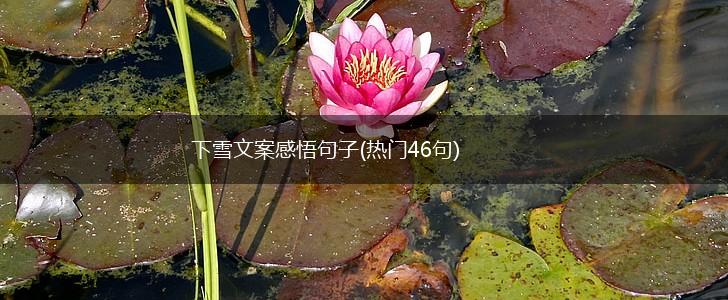 下雪文案感悟句子(热门46句),第1张