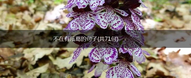 不在有瓜葛的句子(共71句),第1张