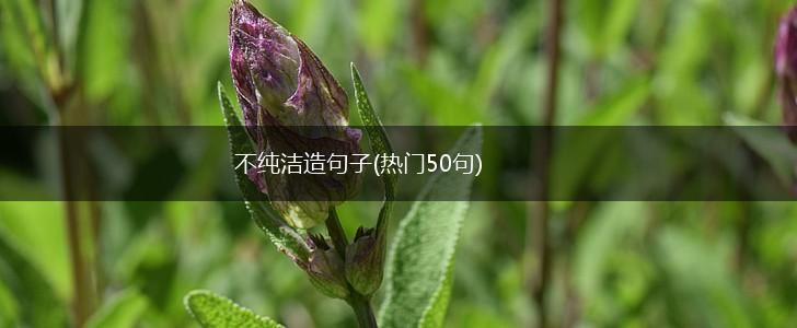 不纯洁造句子(热门50句),第1张