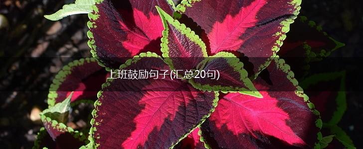 上班鼓励句子(汇总20句),第1张