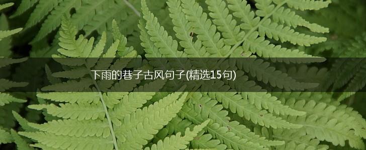 下雨的巷子古风句子(精选15句),第1张