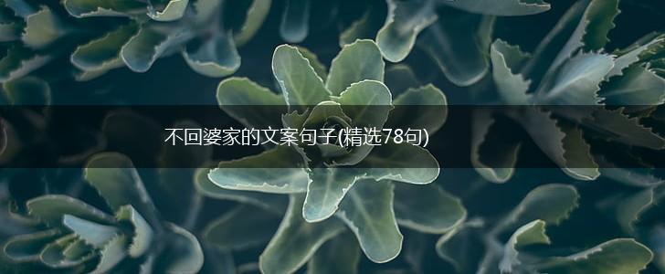 不回婆家的文案句子(精选78句),第1张