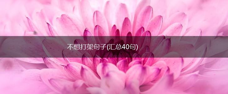 不想打架句子(汇总40句),第1张