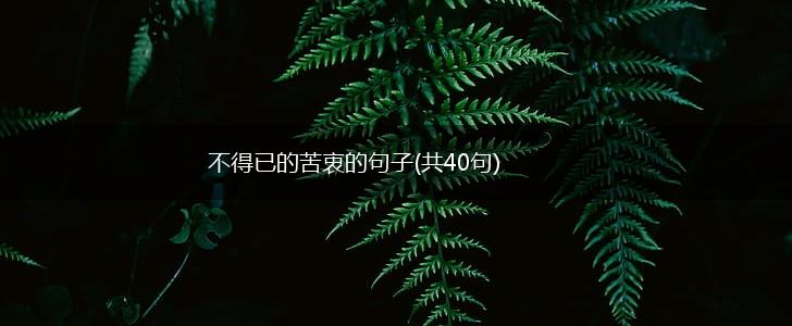 不得已的苦衷的句子(共40句),第1张