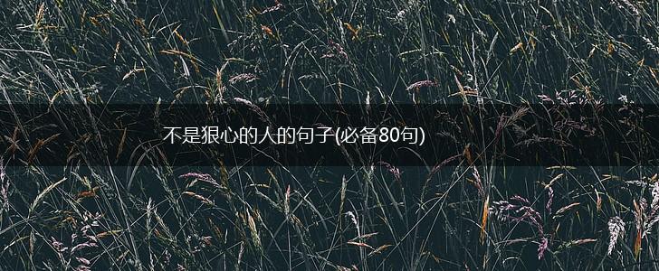 不是狠心的人的句子(必备80句),第1张